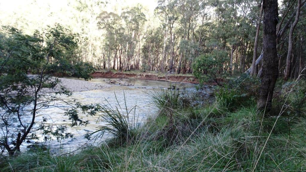 Wonnangatta Pack Track