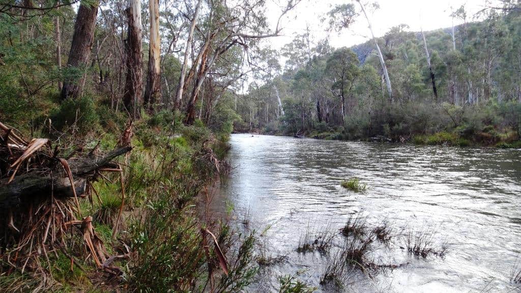 Wonnangatta Pack Track