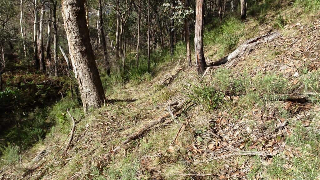 Wonnangatta Pack Track