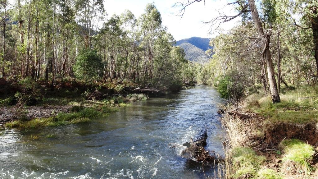 Wonnangatta Pack Track