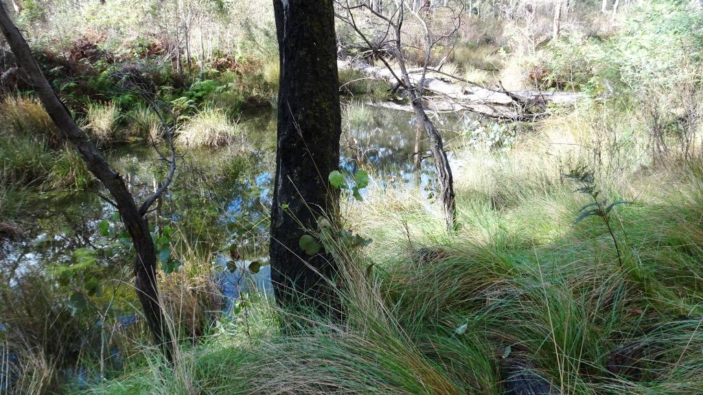 Wonnangatta Pack Track