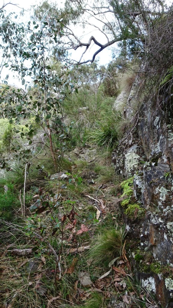 Wonnangatta Pack Track