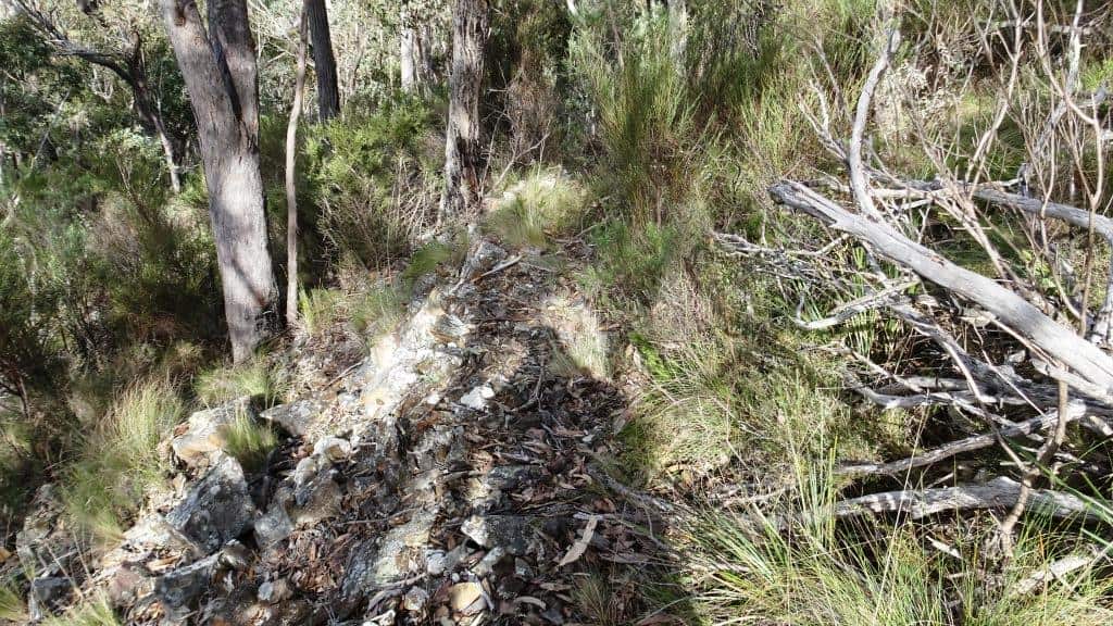 Wonnangatta Pack Track