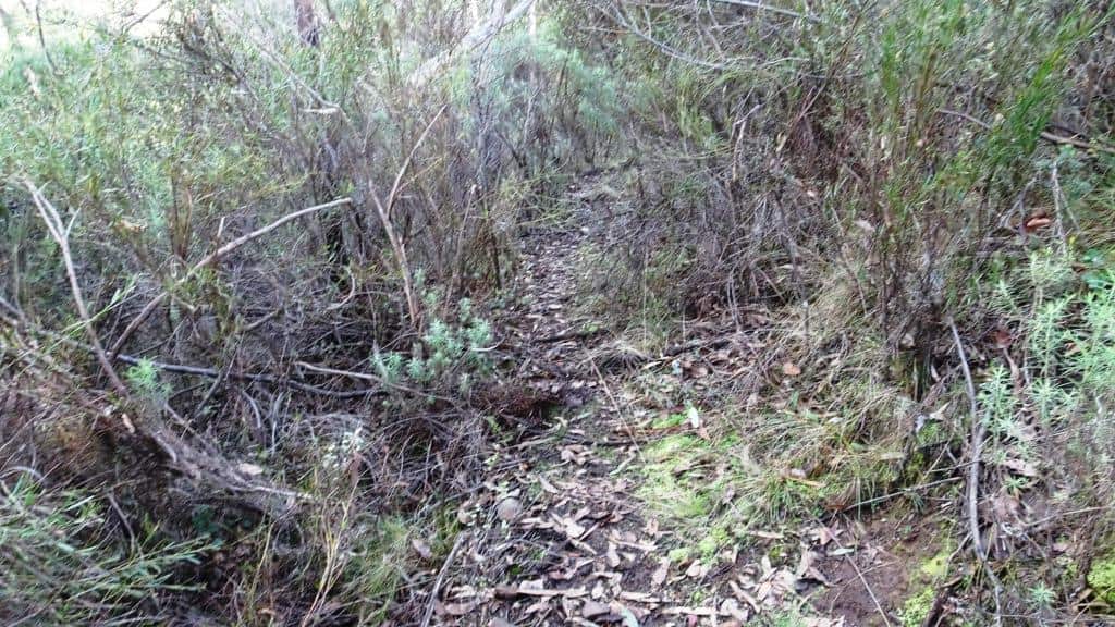 Wonnangatta Pack Track