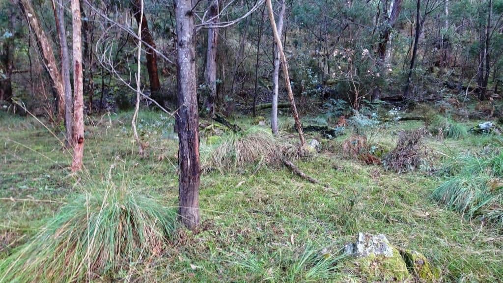 Wonnangatta Pack Track