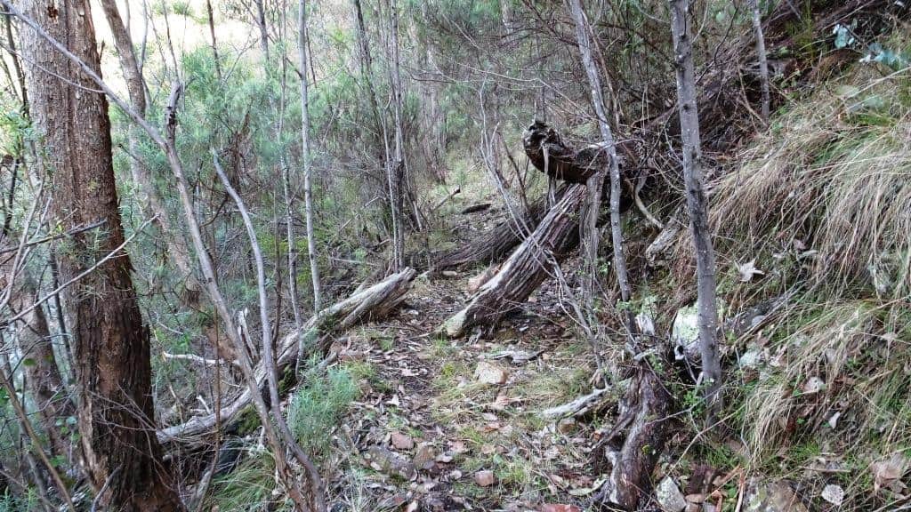 Wonnangatta Pack Track