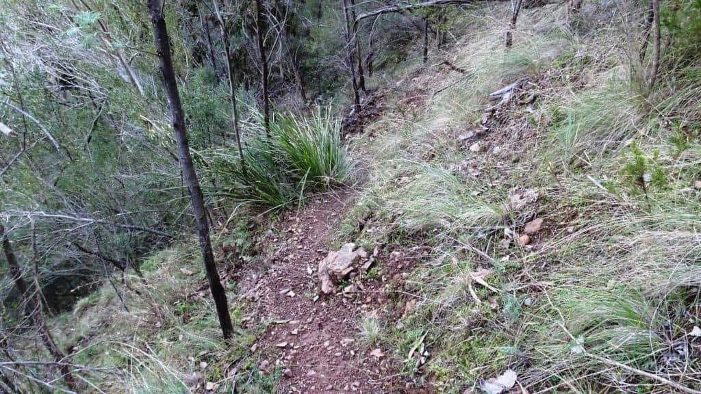 Wonnangatta Pack Track