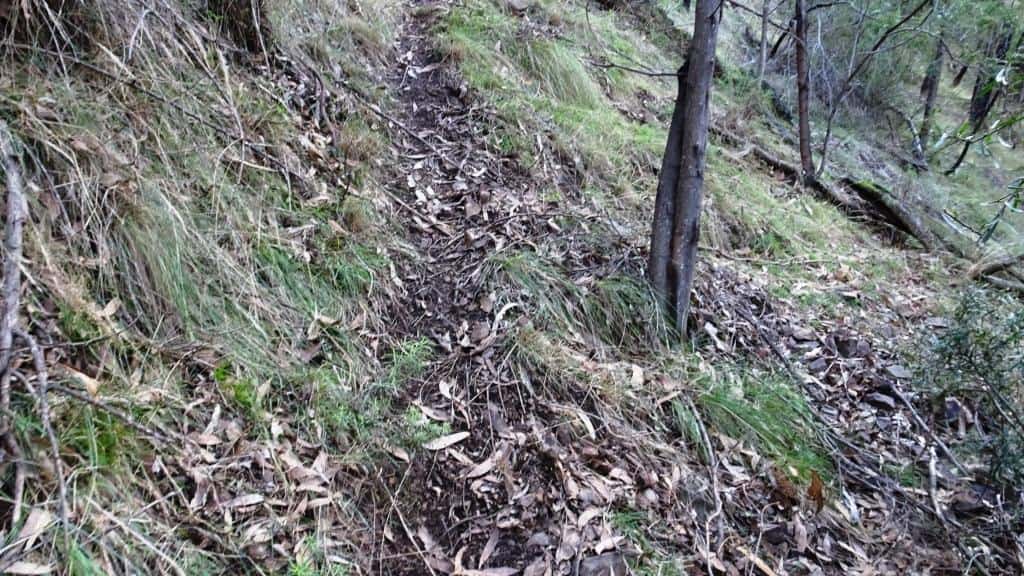 Wonnangatta Pack Track