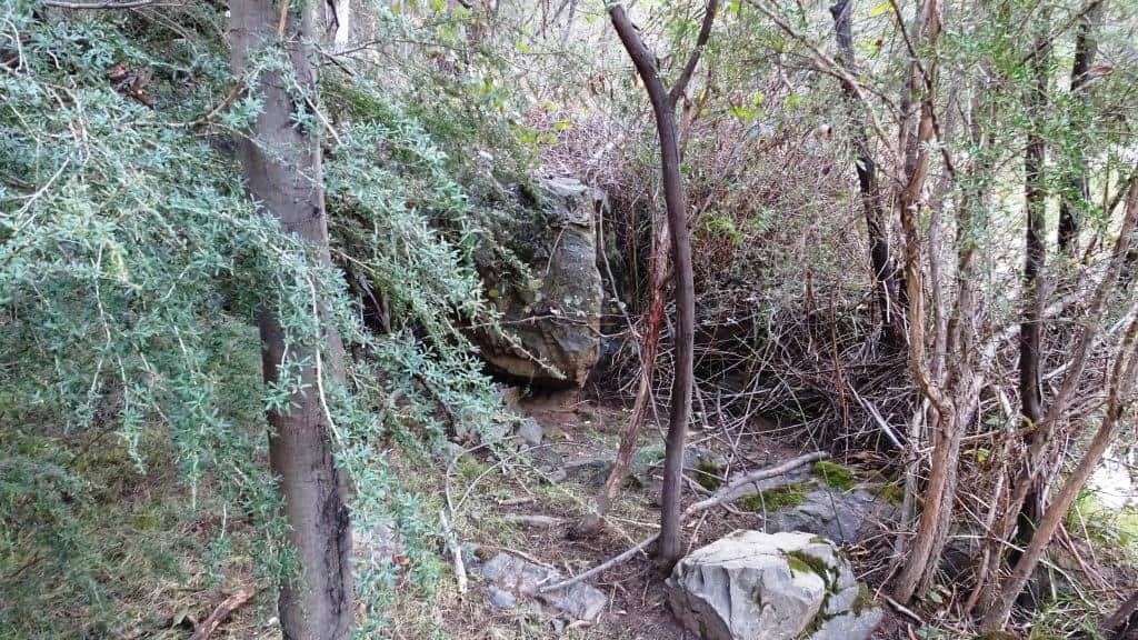 Wonnangatta Pack Track