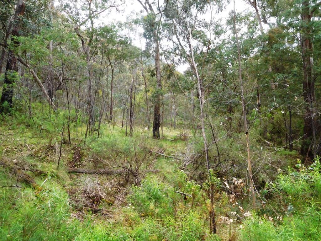 Wonnangatta Pack Track