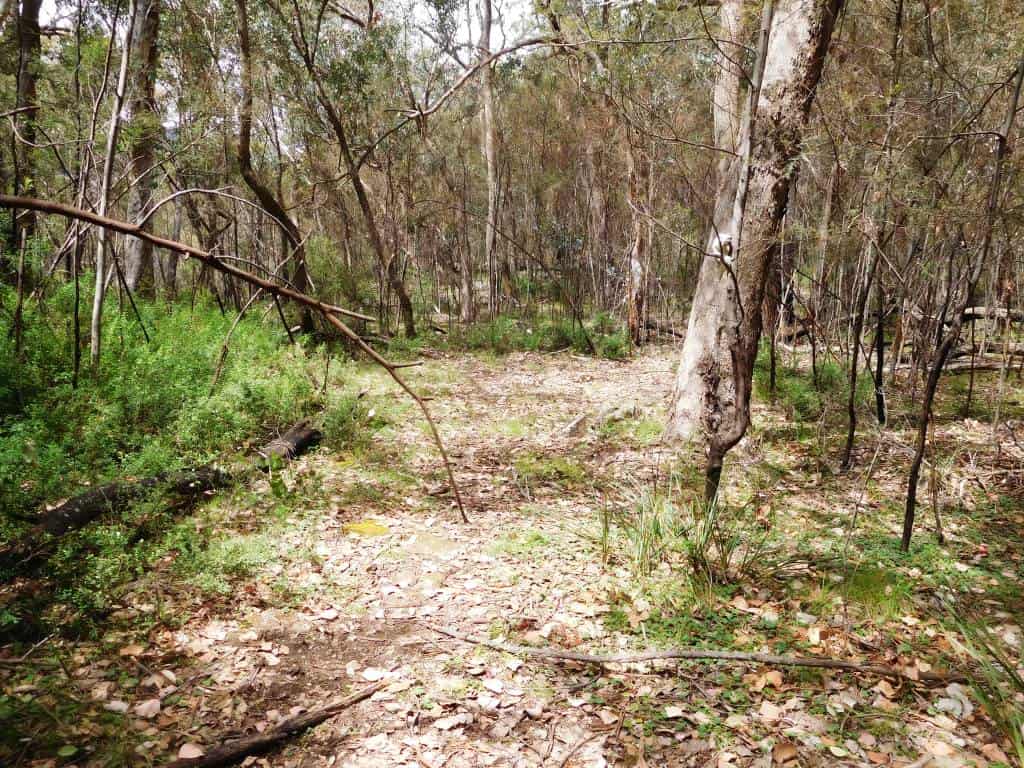 Wonnangatta Pack Track