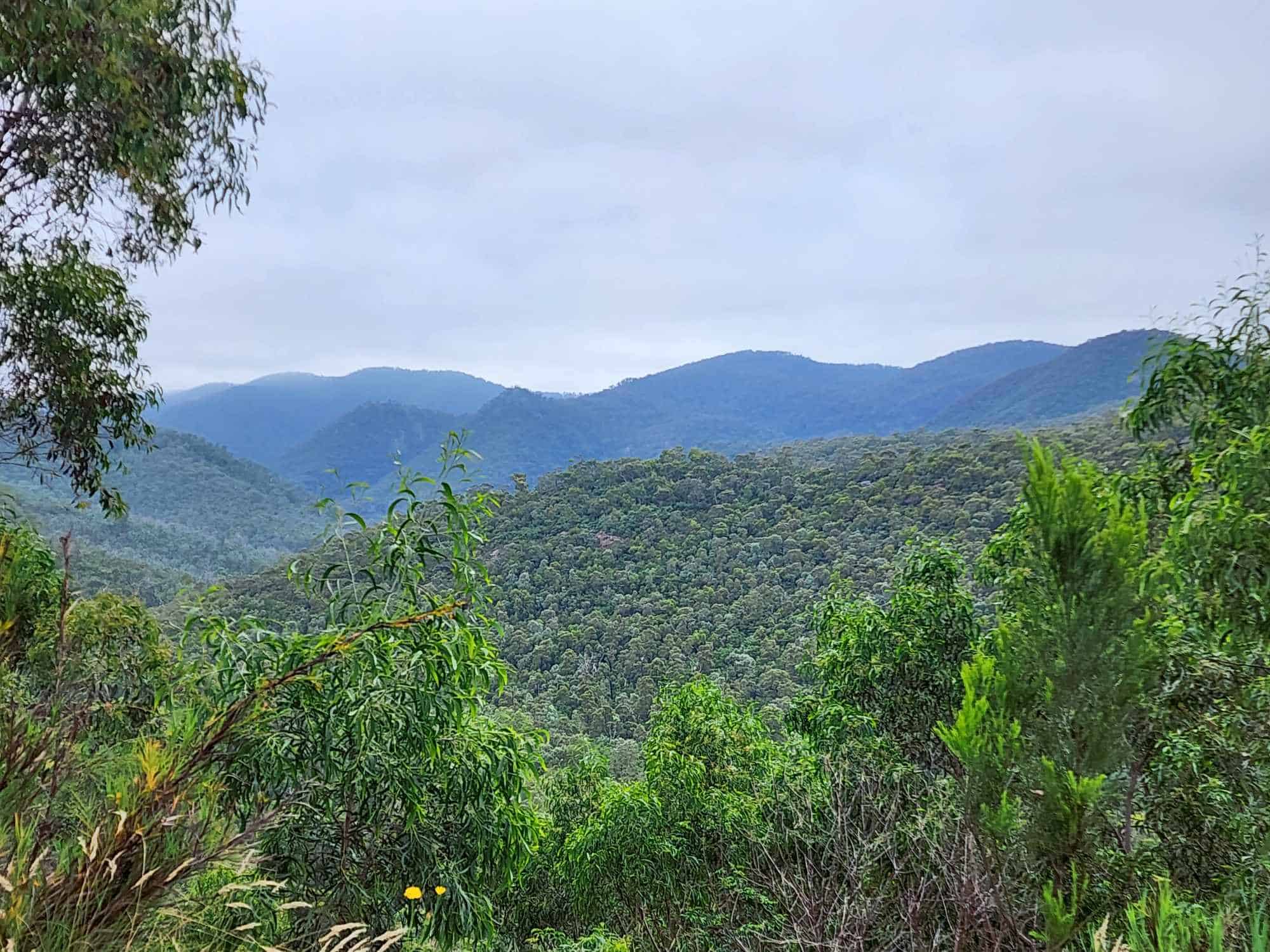 Macalister River Vic
