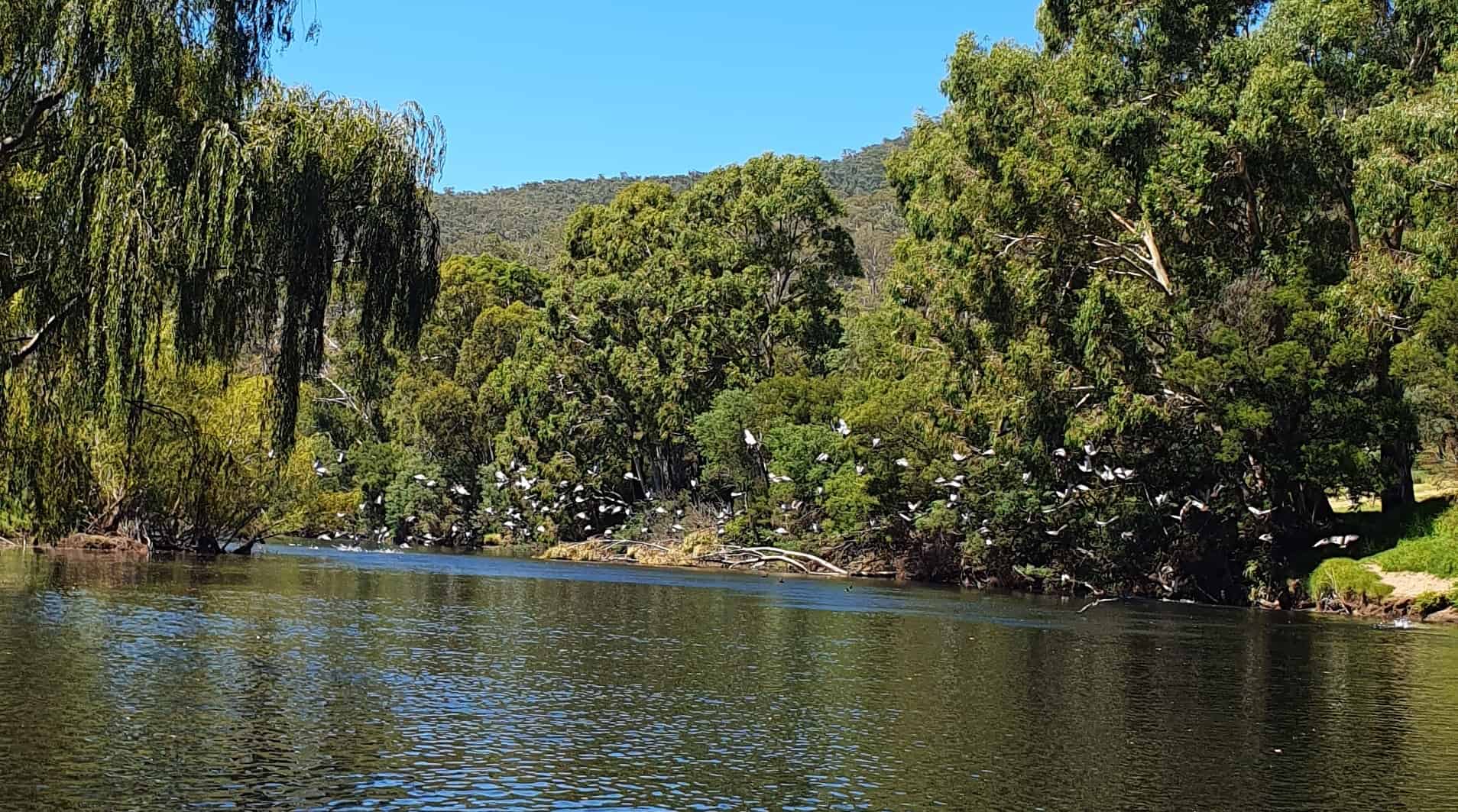Wonnangatta Canoeing