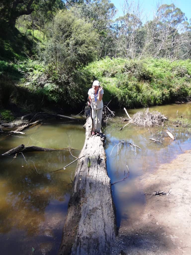 Wonnangatta Canoeing