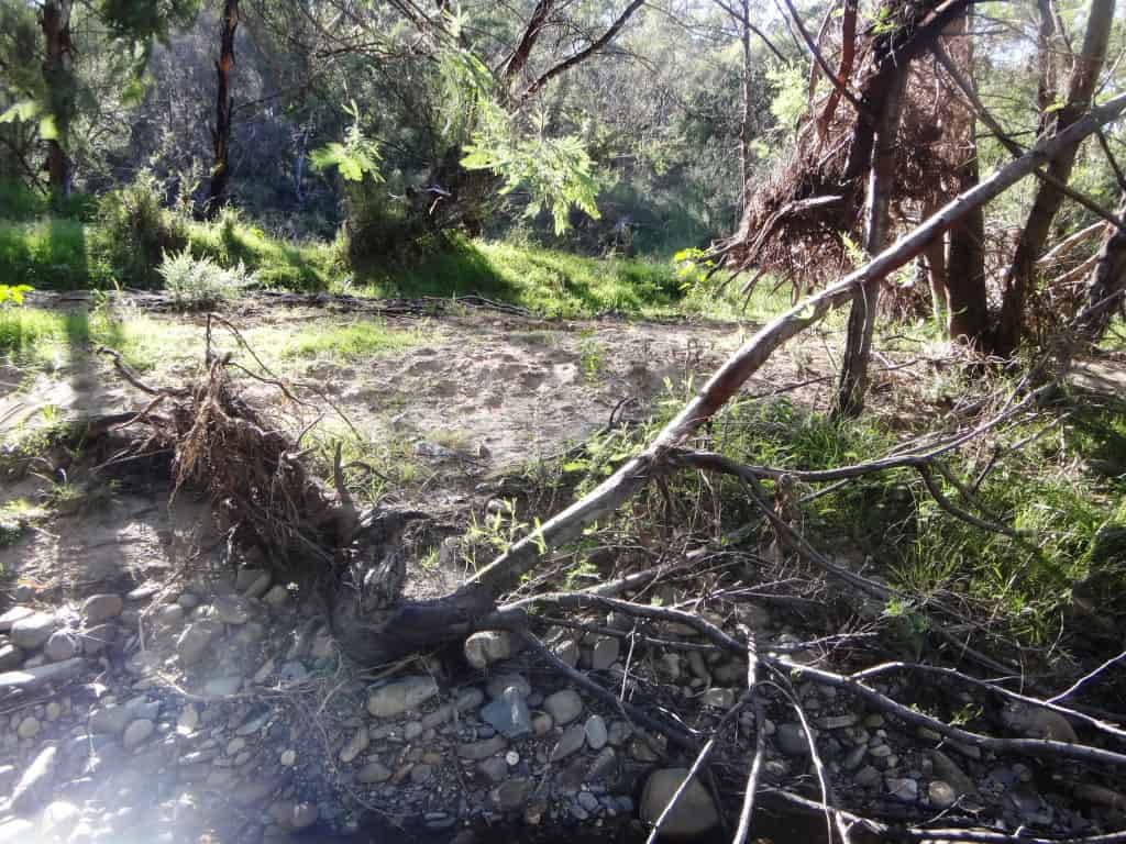 Wonnangatta Canoeing