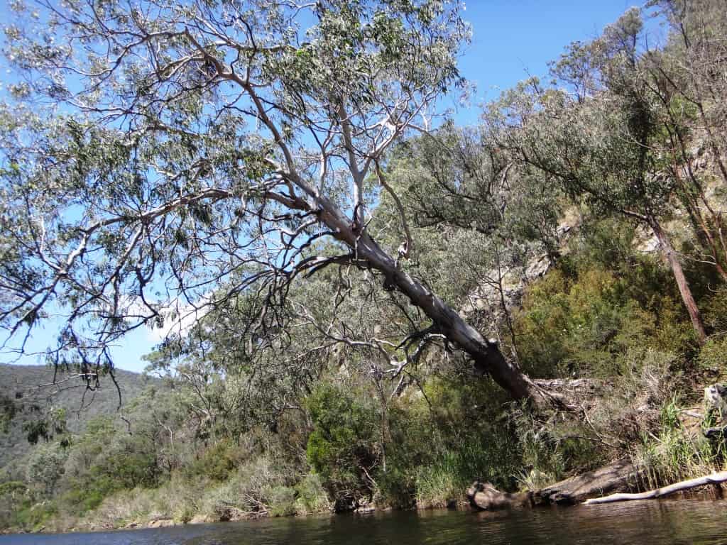 Wonnangatta