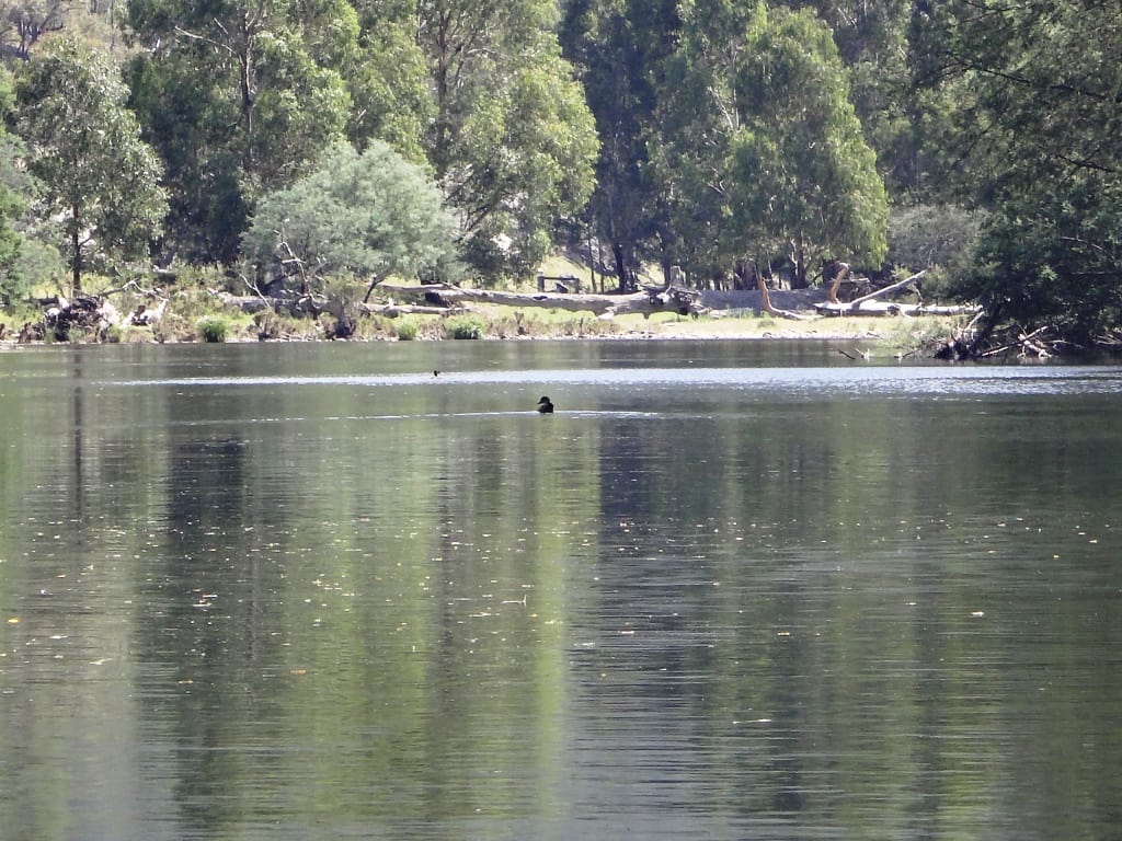 Wonnangatta