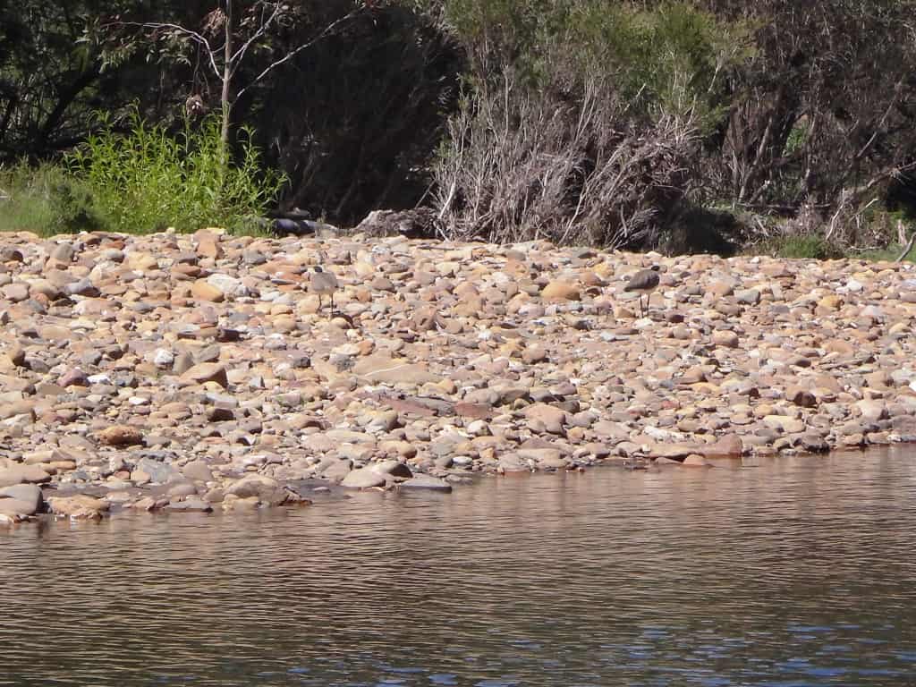 Wonnangatta