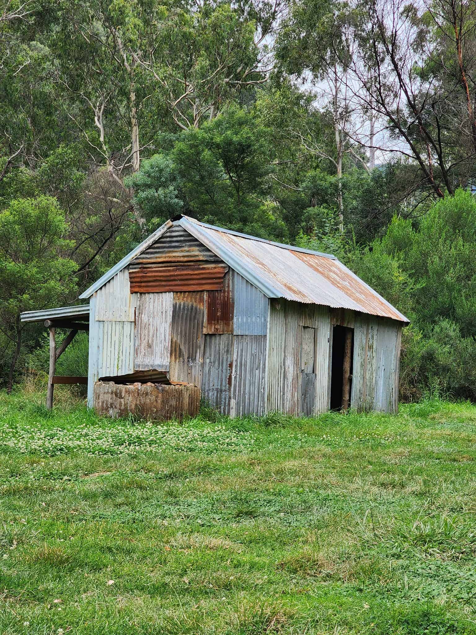 Black Snake Creek Wonnangatta River