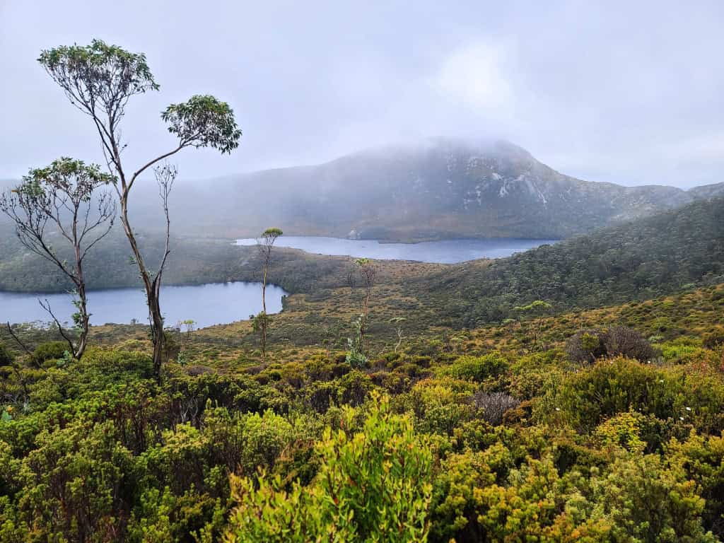 Cradle Mountain