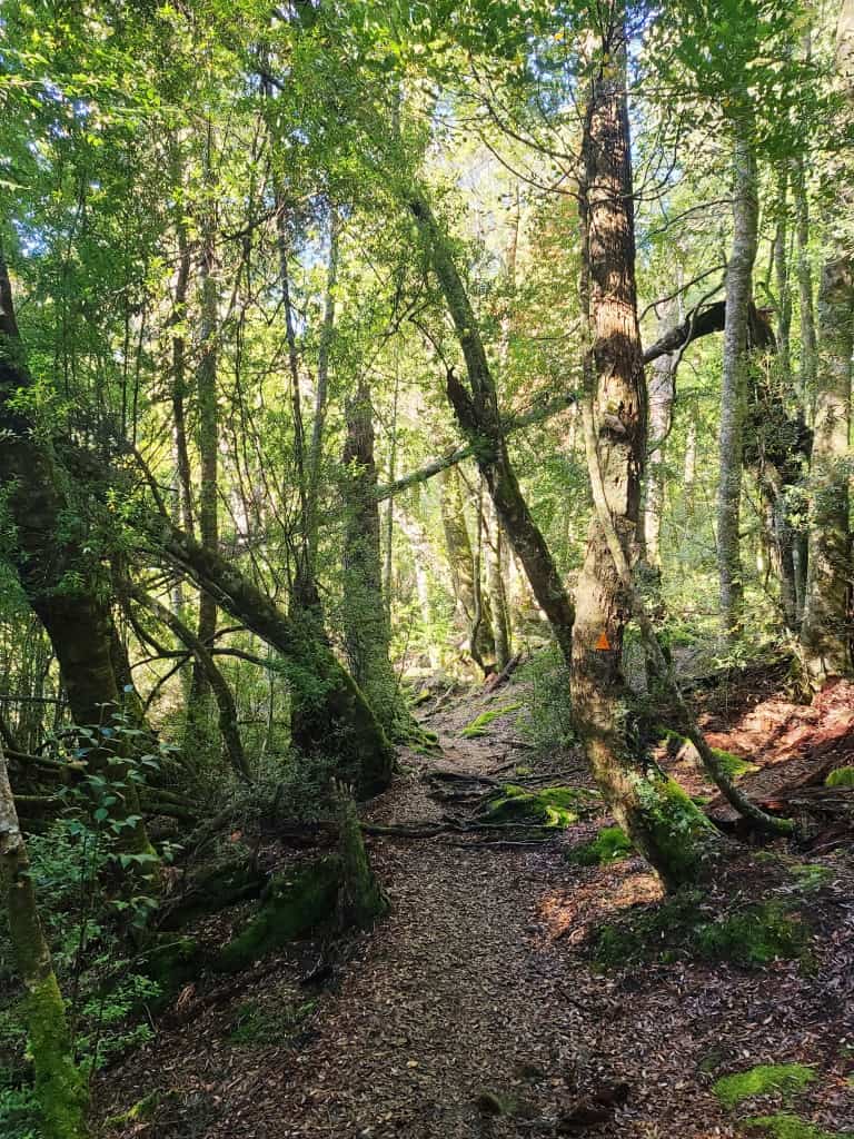 Overland Track Echo Point