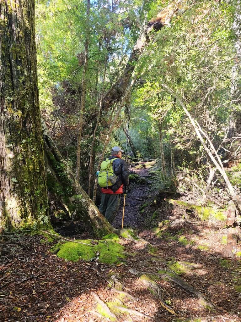 Overland Track Echo Point