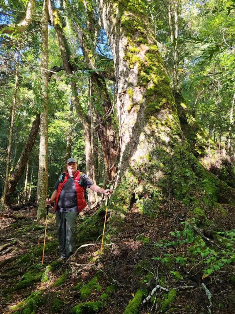 Overland Track Echo Point