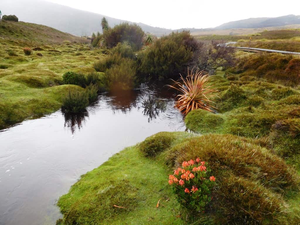 Cradle Mountain