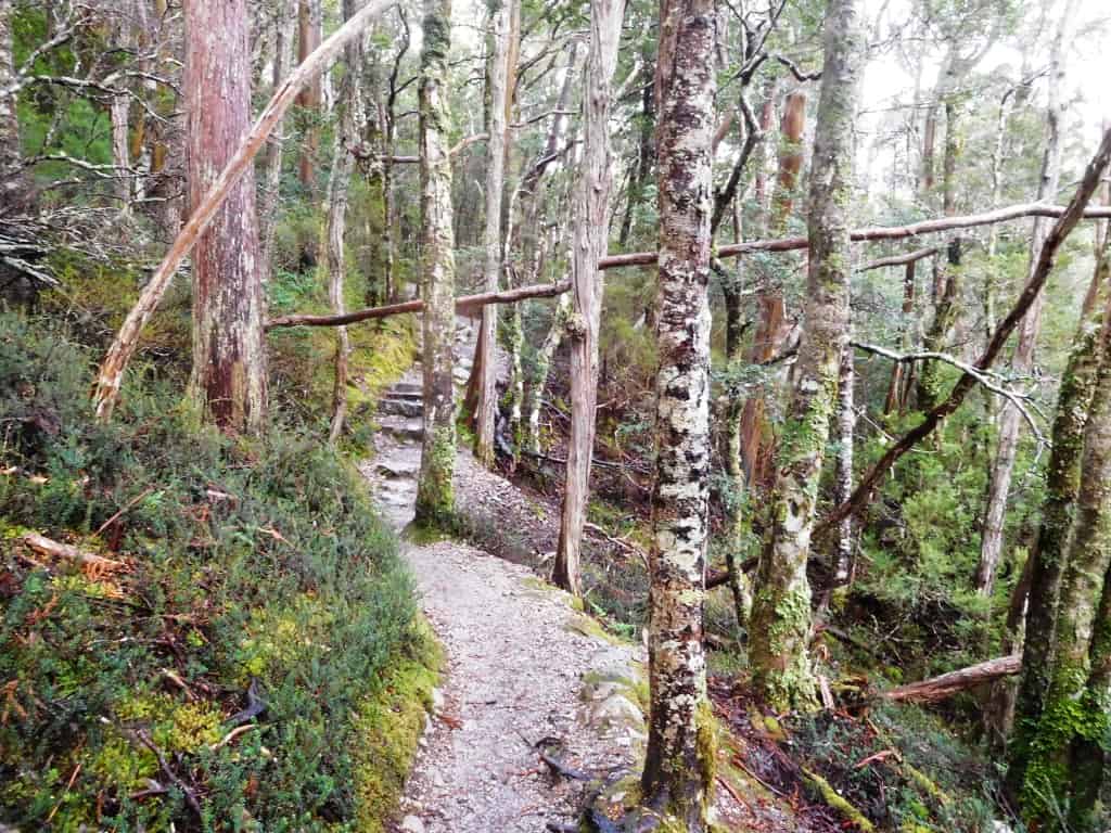 Cradle Mountain