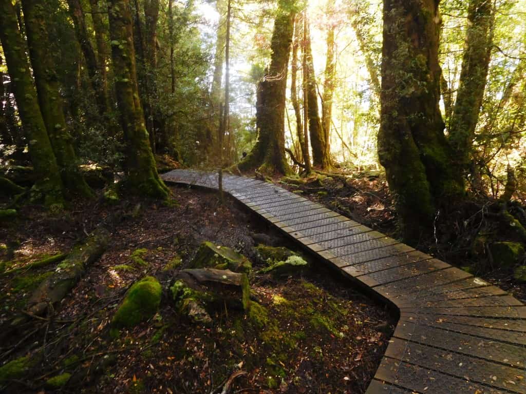 Overland Track Echo Point