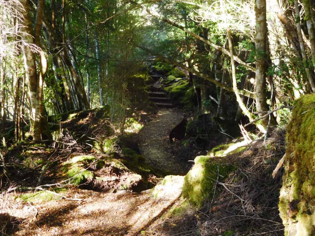 Overland Track Echo Point