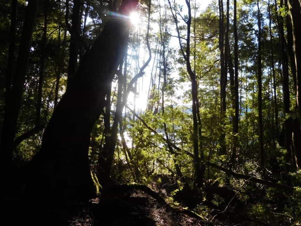 Overland Track Echo Point