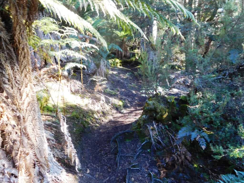 Overland Track Echo Point