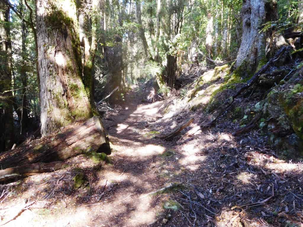 Overland Track Echo Point