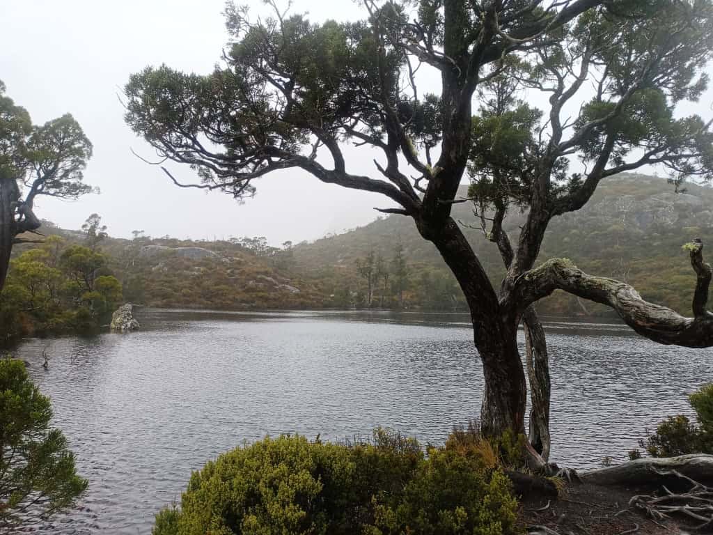 Cradle Mountain