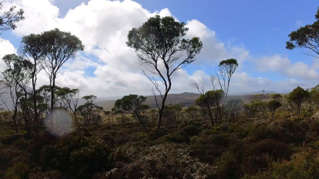 Overland Track