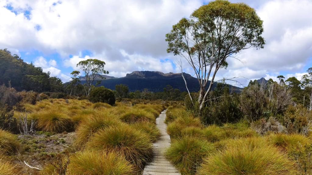 Overland Track