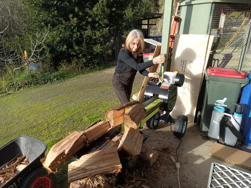 Woods kinetic log splitter discount