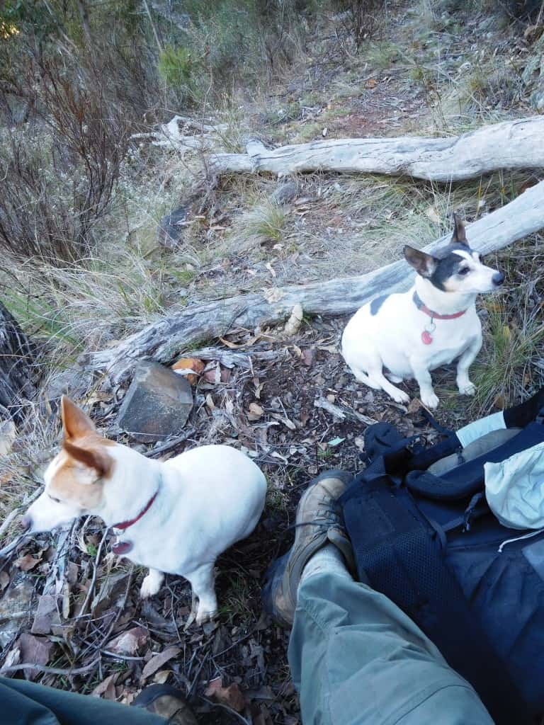 Wonnangatta Hunting/Pack Track