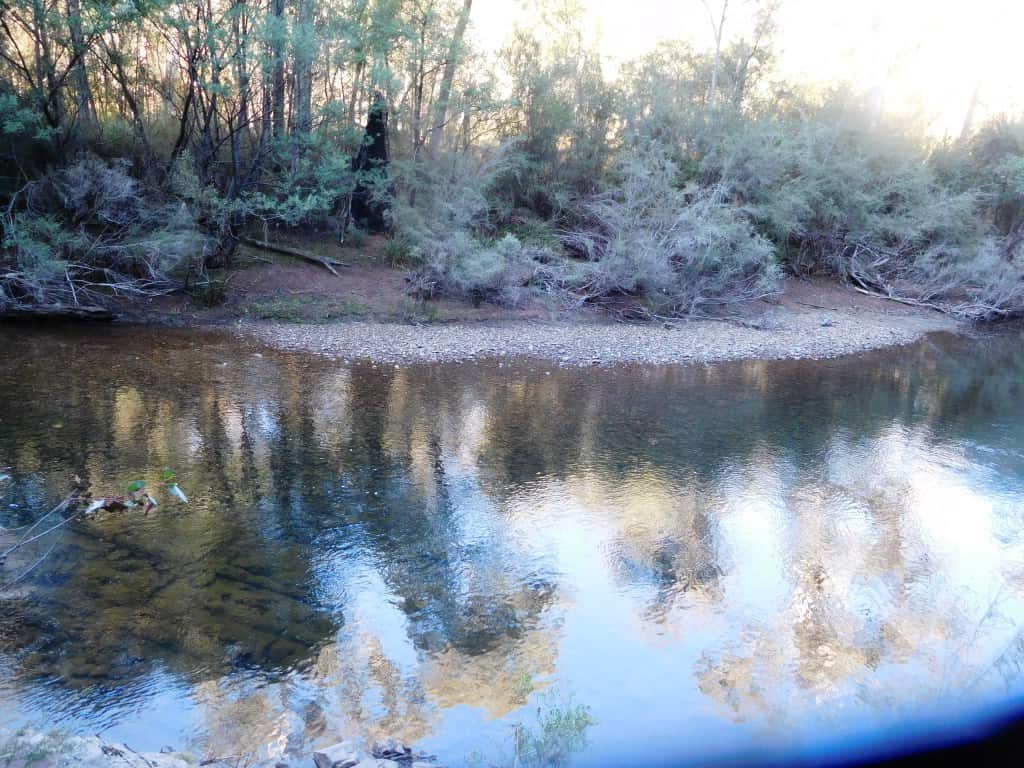 Wonnangatta Hunting/Pack Track