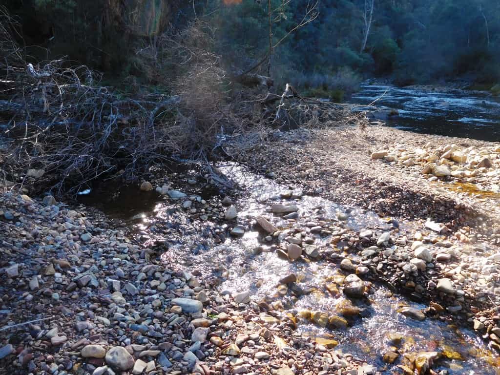 Wonnangatta Hunting/Pack Track