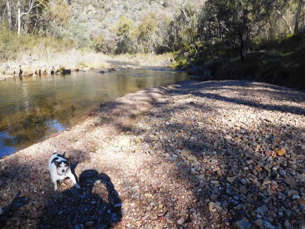 Wonnangatta Hunting/Pack Track