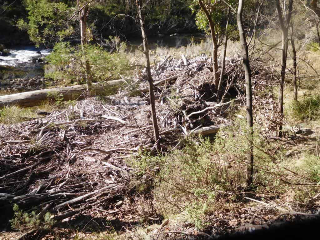 Wonnangatta Hunting/Pack Track