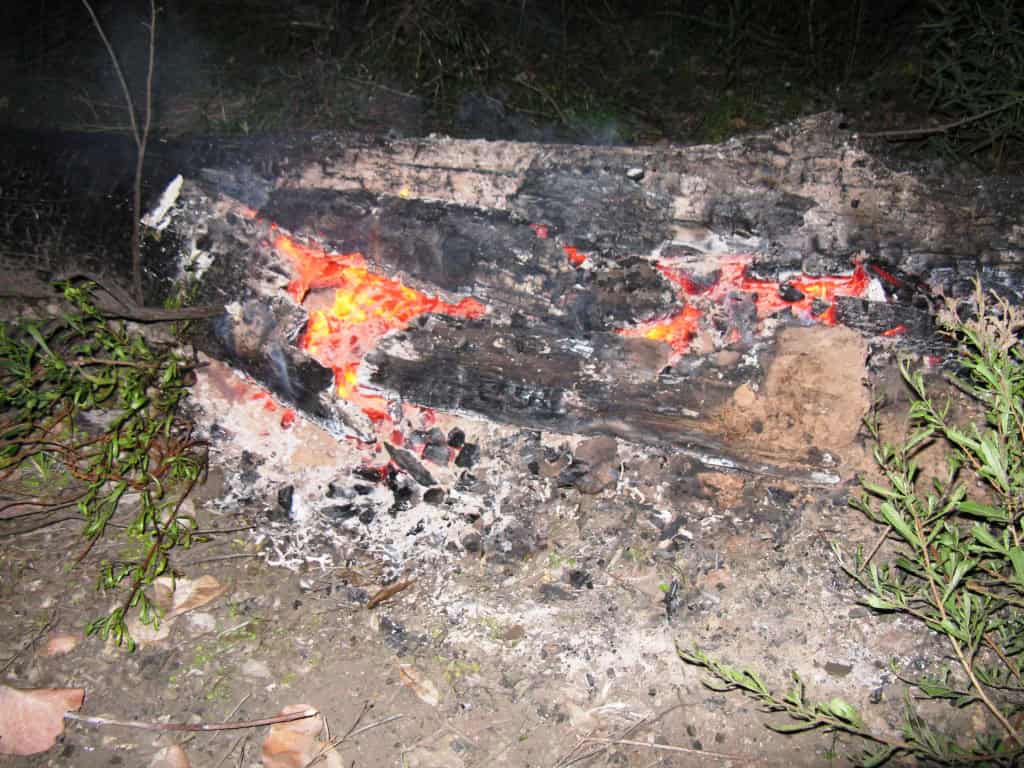 Wonnangatta Hunting/Pack Track