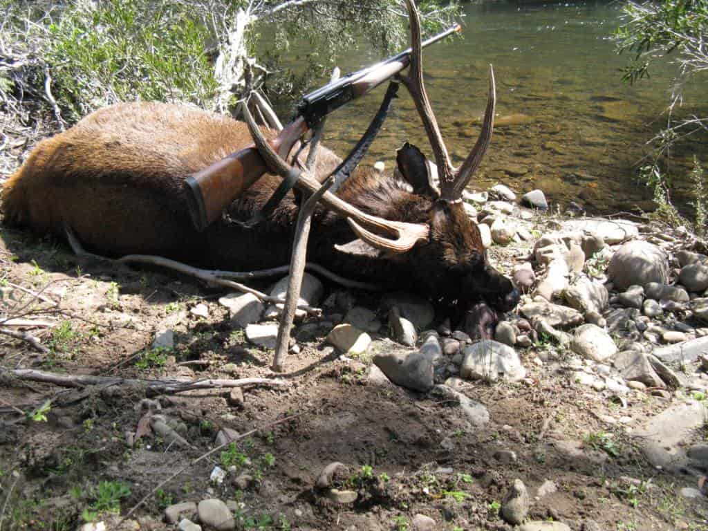 Wonnangatta Hunting/Pack Track