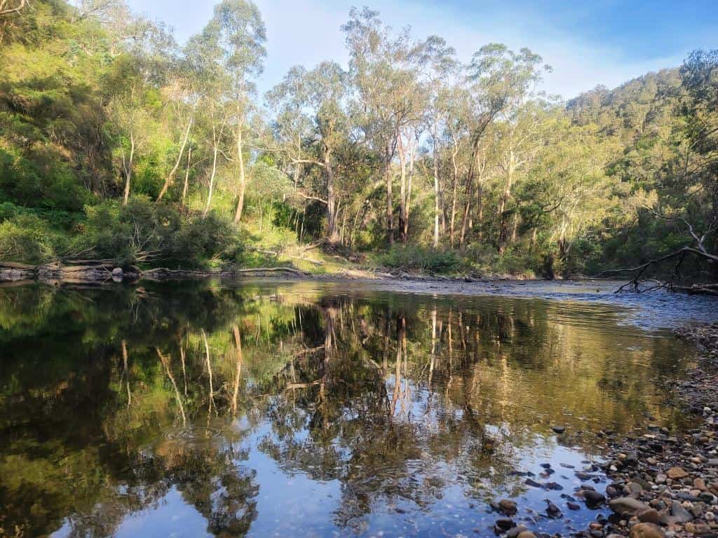 Wonnangatta River Black Snake Creek to Waterford