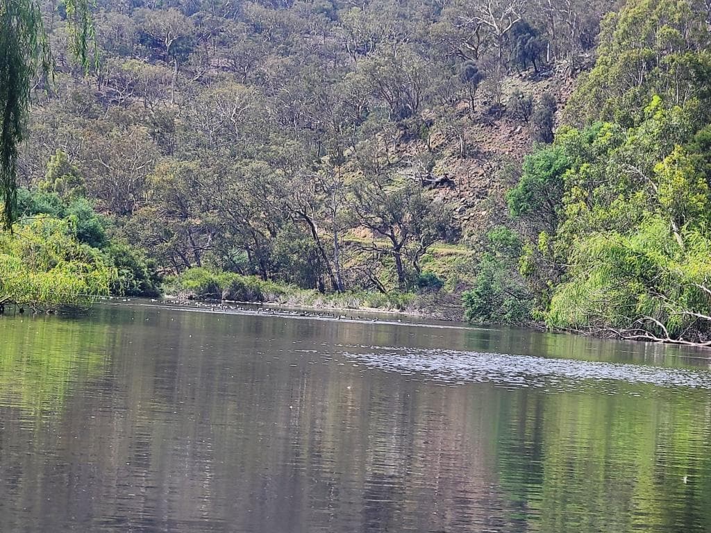Wonnangatta River Black Snake Creek to Waterford