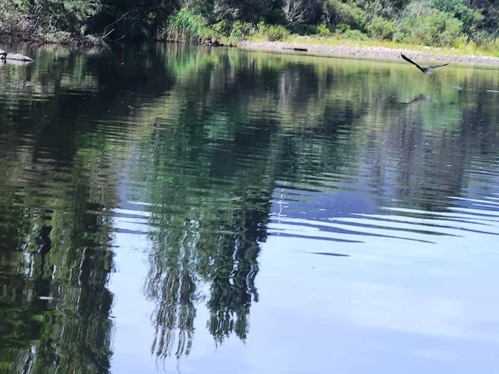 Wonnangatta River Black Snake Creek to Waterford