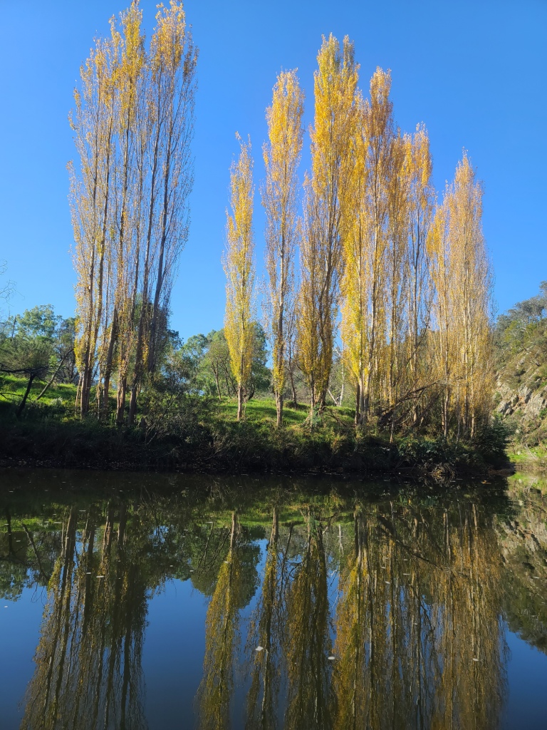 Canoeing Mitchell River