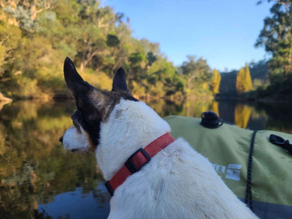 Canoeing Mitchell River